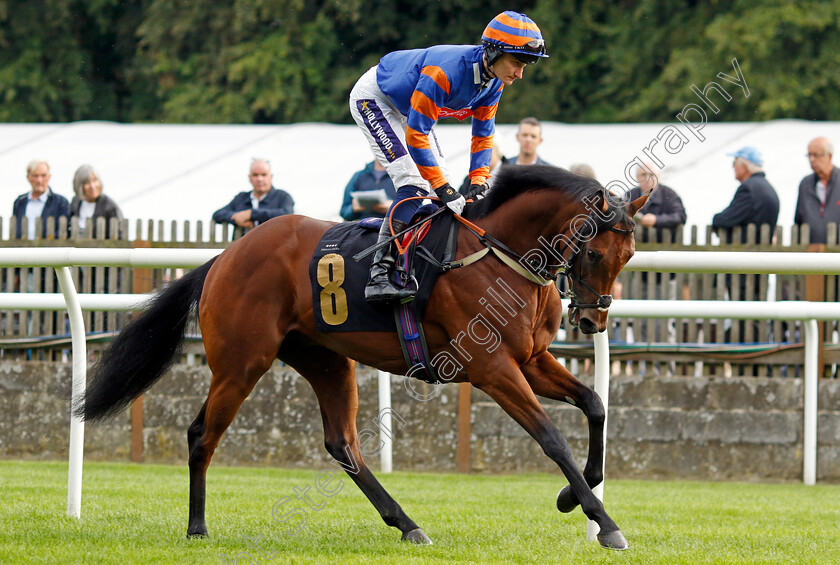 Zain-Blue-0001 
 ZAIN BLUE (Daniel Muscutt)
Newmarket 4 Aug 2023 - Pic Steven Cargill / Racingfotos.com