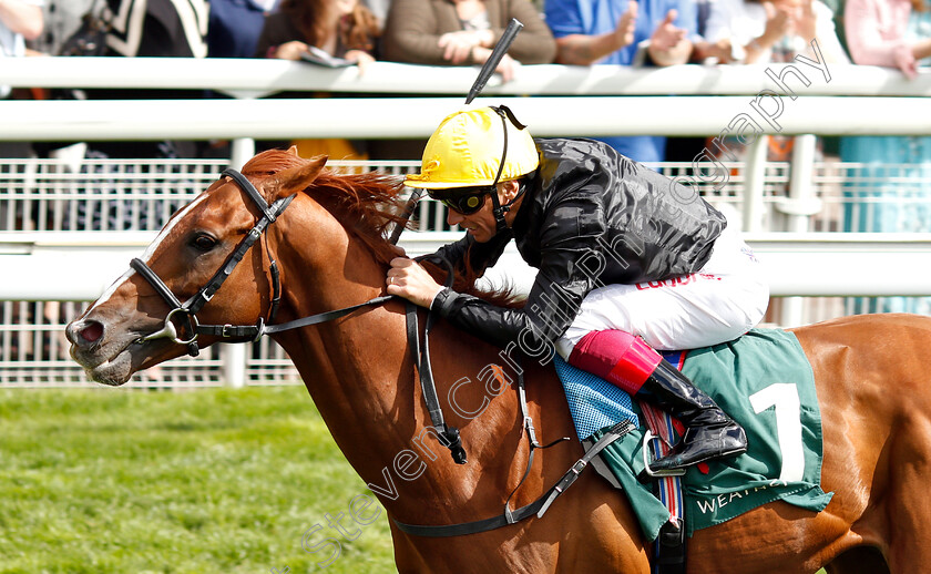 Stradivarius-0011 
 STRADIVARIUS (Frankie Dettori) wins The Weatherbys Hamilton Lonsdale Cup
York 24 Aug 2018 - Pic Steven Cargill / Racingfotos.com