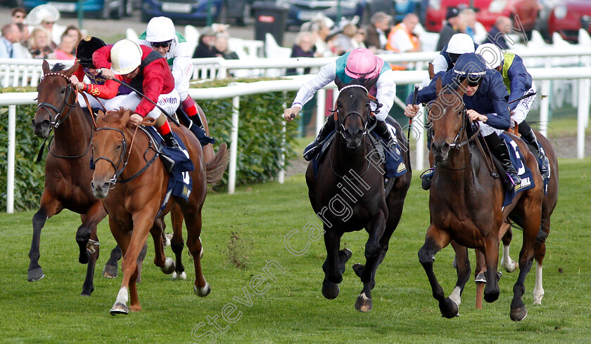 Fleeting-0001 
 FLEETING (right, Donnacha O'Brien) beats STAR TERMS (2nd left) and SAND SHARE (2nd right) in The William Hill May Hill Stakes
Doncaster 13 Sep 2018 - Pic Steven Cargill / Racingfotos.com