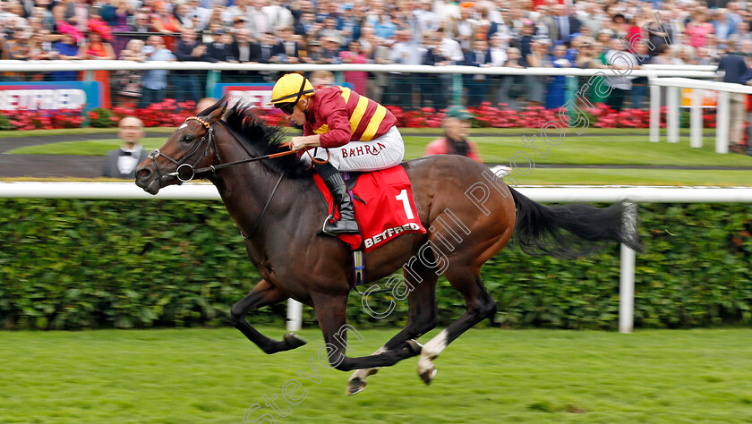 Iberian-0001 
 IBERIAN (Tom Marquand) wins The Betfred Champagne Stakes
Doncaster 16 Sep 2023 - Pic Steven Cargill / Racingfotos.com