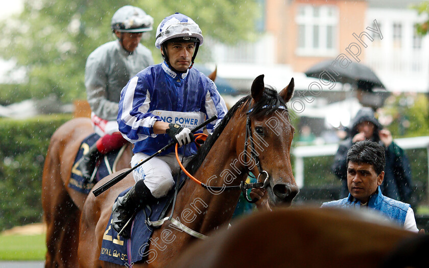 Multiply-By-Eight-0001 
 MULTIPLY BY EIGHT (Silvestre De Sousa)
Royal Ascot 19 Jun 2019 - Pic Steven Cargill / Racingfotos.com