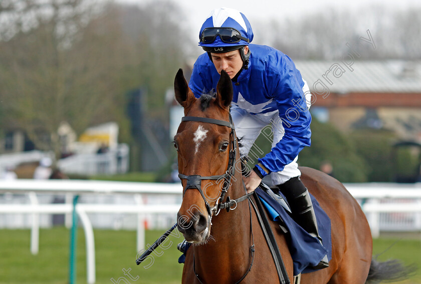 By-Farhh-The-Best-0001 
 BY FARHH THE BEST (George Rooke)
Lingfield 7 Mar 2024 - Pic Steven Cargill / Racingfotos.com