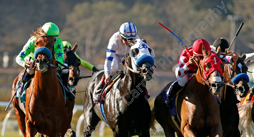 He-Will-0004 
 HE WILL (left, Mike Smith) wins The Lure Stakes, Del Mar USA 2 Nov 2017 - Pic Steven Cargill / Racingfotos.com