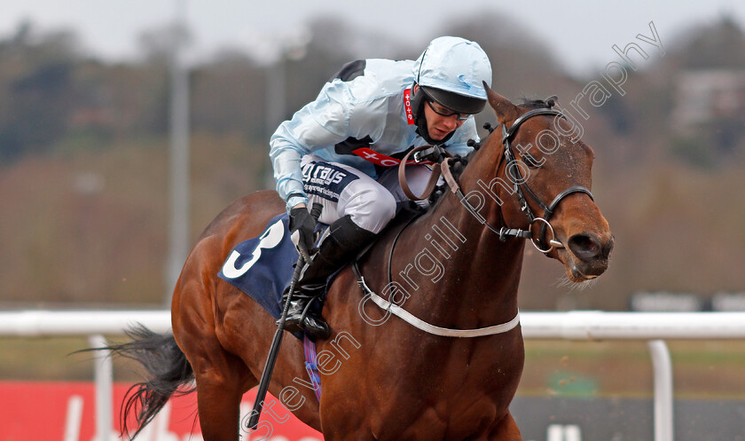 Double-Dealing-0006 
 DOUBLE DEALING (Billy Garritty) wins The Get Your Ladbrokes Daily Odds Boost Handicap
Wolverhampton 13 Mar 2021 - Pic Steven Cargill / Racingfotos.com