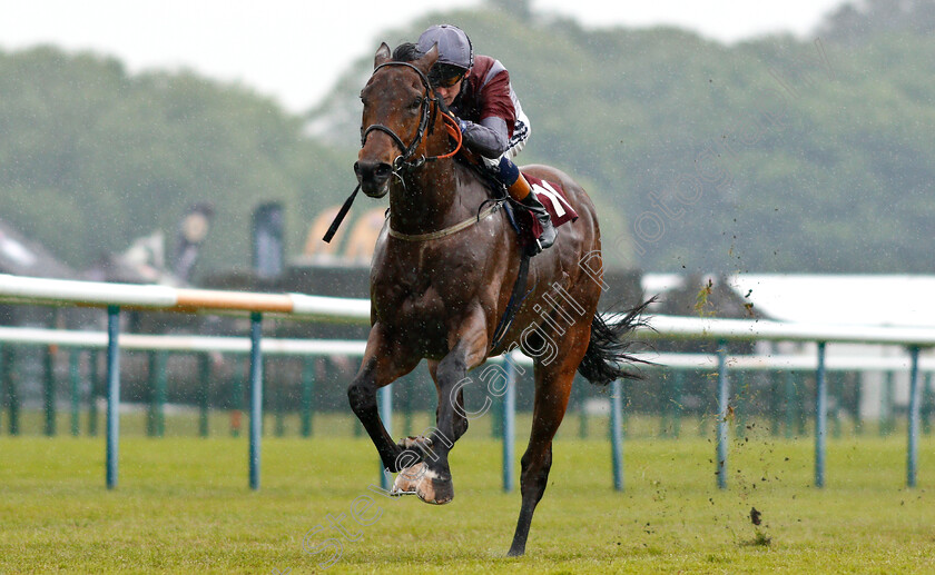 Beyond-Equal-0004 
 BEYOND EQUAL (David Egan) wins The 188bet Mobile Bet10 Get20 Handicap
Haydock 25 May 2018 - Pic Steven Cargill / Racingfotos.com