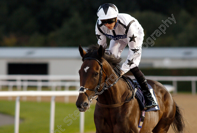 Thunderbolt-Rocks-0002 
 THUNDERBOLT ROCKS (James Doyle) before winning The Hellermanntyton Identification Handicap
Wolverhampton 5 Sep 2018 - Pic Steven Cargill / Racingfotos.com