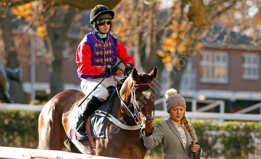 Take-To-Heart-0002 
 TAKE TO HEART (Nico De Boinville) Ascot 25 Nov 2017 - Pic Steven Cargill / Racingfotos.com