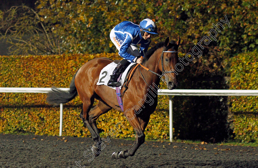 Albion-Princess-0001 
 ALBION PRINCESS (Trevor Whelan)
Kempton 10 Nov 2021 - Pic Steven Cargill / Racingfotos.com