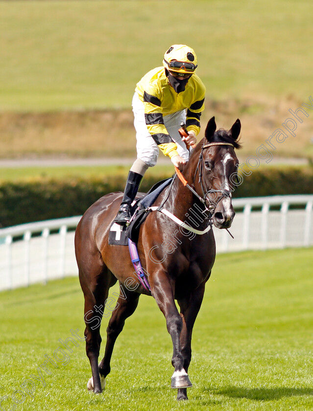 Flippance-0001 
 FLIPPANCE (Kieran O'Neill)
Goodwood 28 Aug 2020 - Pic Steven Cargill / Racingfotos.com