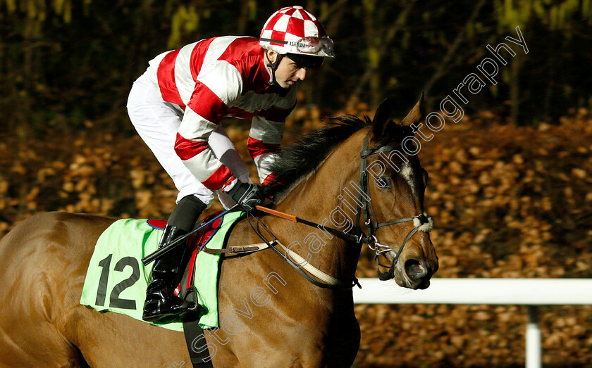 Great-Shout-0001 
 GREAT SHOUT (Martin Harley)
Kempton 16 Jan 2019 - Pic Steven Cargill / Racingfotos.com