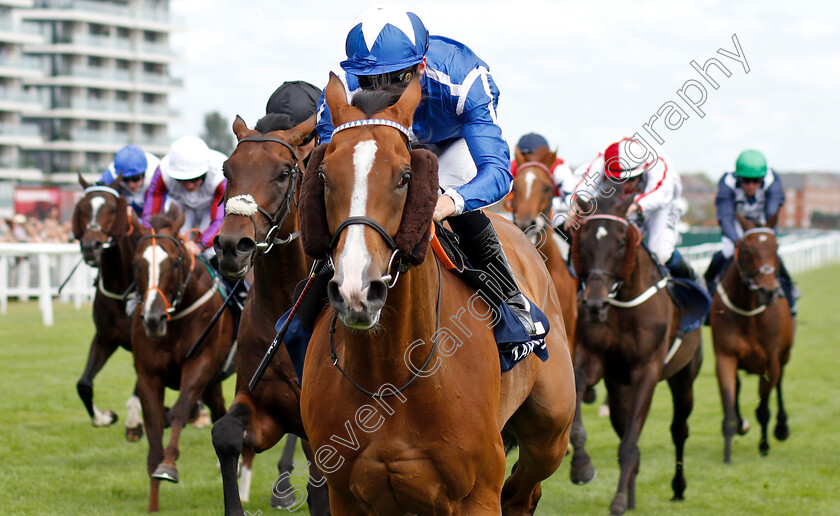 Withhold-0007 
 WITHHOLD (Jason Watson) wins The Marsh Cup
Newbury 20 Jul 2019 - Pic Steven Cargill / Racingfotos.com