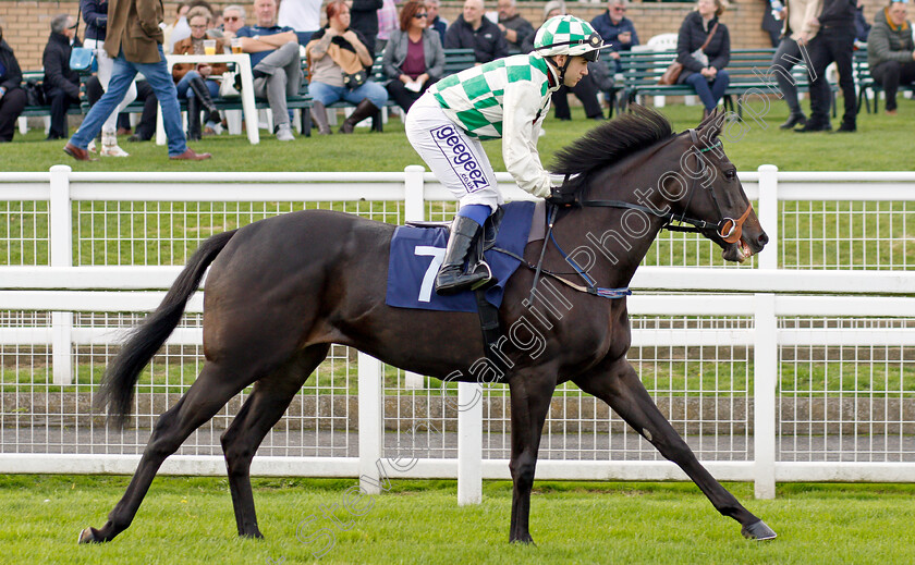 Royal-Showqueen 
 ROYAL SHOWQUEEN (Marco Ghiani)
Yarmouth 19 Oct 2021 - Pic Steven Cargill / Racingfotos.com