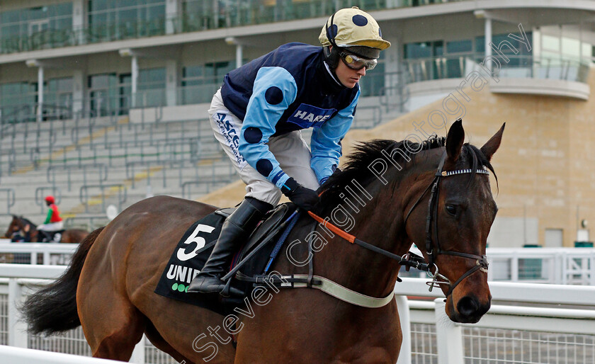 Edwardstone-0002 
 EDWARDSTONE (Tom Cannon)
Cheltenham 15 Nov 2020 - Pic Steven Cargill / Racingfotos.com