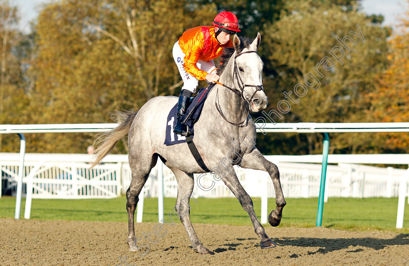 Outtatheblue-0002 
 OUTTATHEBLUE (Owen Lewis)
Lingfield 28 Oct 2021 - Pic Steven Cargill / Raingfotos.com