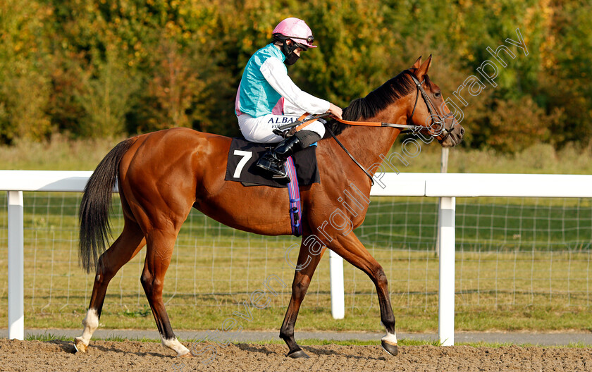 Tanita-0001 
 TANITA (Ryan Moore)
Chelmsford 20 Sep 2020 - Pic Steven Cargill / Racingfotos.com