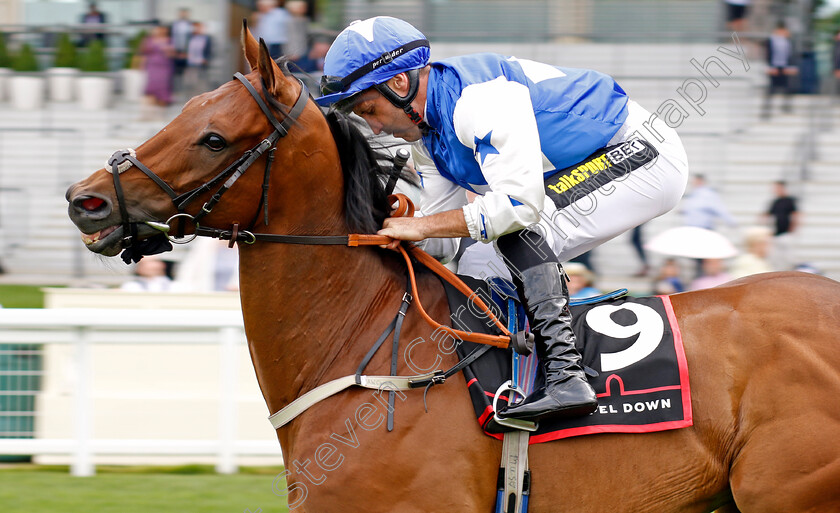 Mumayaz-0001 
 MUMAYAZ (Neil Callan)
Ascot 26 Jul 2024 - Pic Steven Cargill / Racingfotos.com