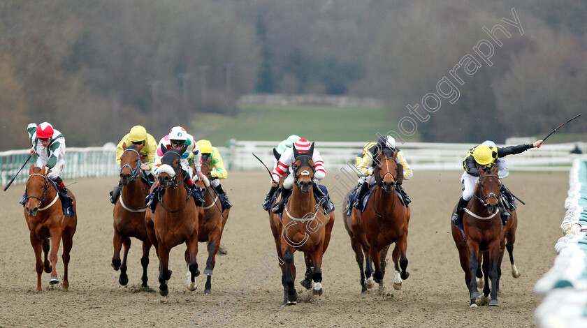 Highland-Acclaim-0001 
 HIGHLAND ACCLAIM (centre, David Probert) wins The Betway Handicap
Lingfield 2 Feb 2019 - Pic Steven Cargill / Racingfotos.com