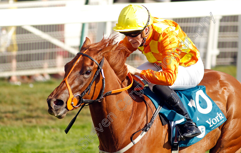 Treasure-Trove-0008 
 TREASURE TROVE (W J Lee) wins The Julia Greaves Roses Stakes
York 20 Aug 2022 - Pic Steven Cargill / Racingfotos.com