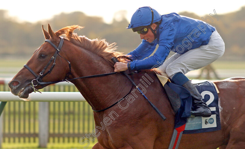 Castle-Way-0002 
 CASTLE WAY (William Buick) wins The British EBF Future Stayers Nursery
Newmarket 19 Oct 2022 - Pic Steven Cargill / Racingfotos.com