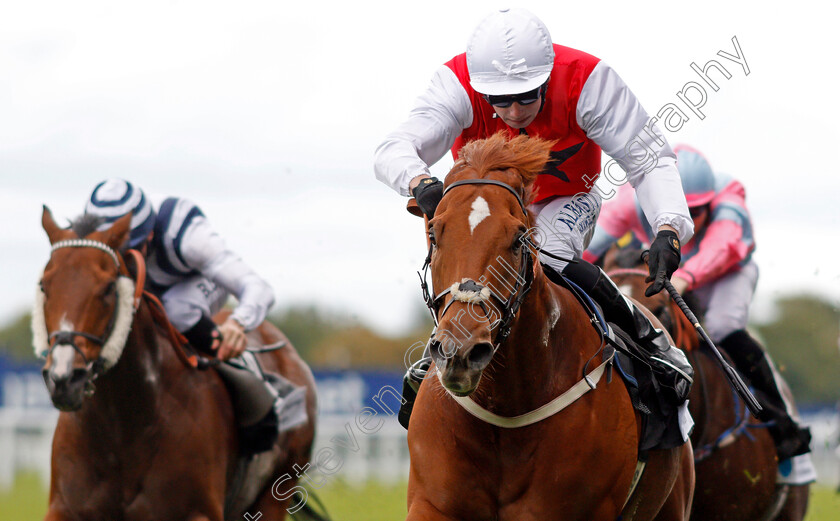 Just-Glamorous-0004 
 JUST GLAMOROUS (Oisin Murphy) wins The Hope And Homes For Children Rous Stakes Ascot 7 Oct 2017 - Pic Steven Cargill / Racingfotos.com