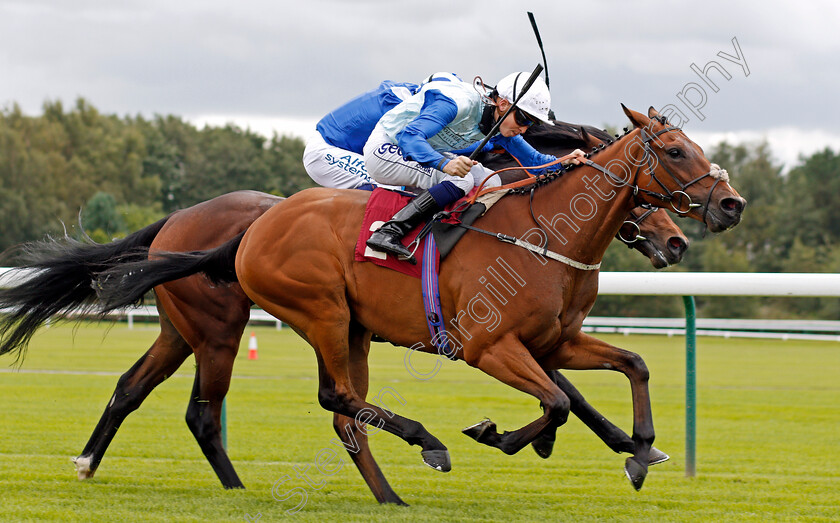 Rick-Blaine-0002 
 RICK BLAINE (David Probert) wins The Betfair Maiden Stakes
Haydock 3 Sep 2020 - Pic Steven Cargill / Racingfotos.com