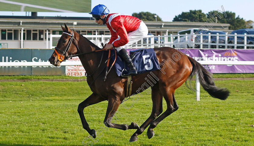 Star-Cast-0002 
 STAR CAST (Luke Morris)
Yarmouth 22 Oct 2024 - Pic Steven Cargill / Racingfotos.com