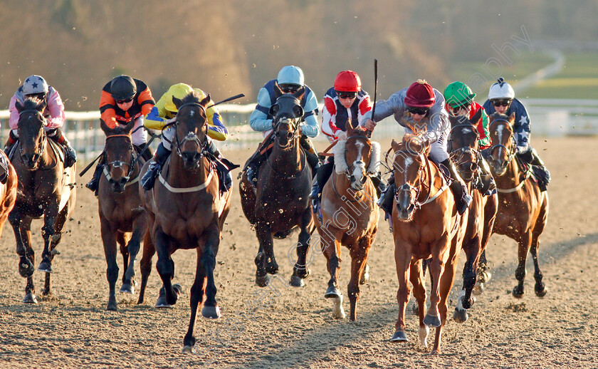 Noble-Peace-0003 
 NOBLE PEACE (left, David Probert) beats AL DAIHA (right) in The Play 4 To Score At Betway Handicap
Lingfield 10 Jan 2020 - Pic Steven Cargill / Racingfotos.com