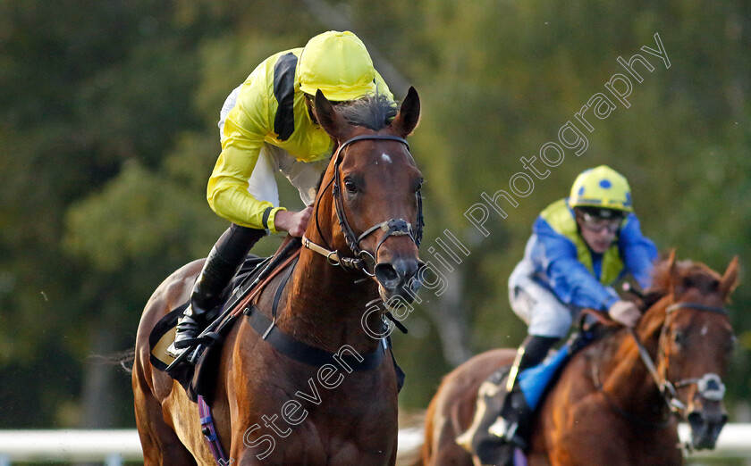 Terwada-0002 
 TERWADA (James Doyle) wins The Every Race Live On Racing TV Handicap
Newmarket 28 Jul 2023 - Pic Steven Cargill / Racingfotos.com