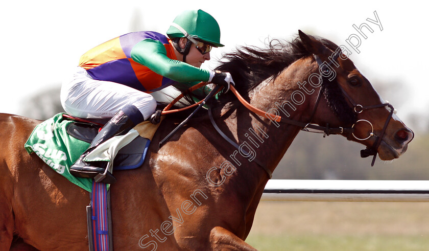 Raucous-0001 
 RAUCOUS (Cieren Fallon)
Lingfield 19 Apr 2019 - Pic Steven Cargill / Racingfotos.com