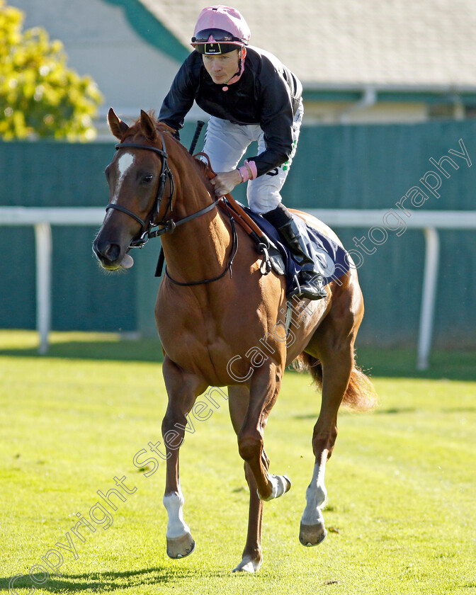 Folk-Star-0001 
 FOLK STAR (Jamie Spencer)
Yarmouth 18 Oct 2022 - Pic Steven Cargill / Racingfotos.com