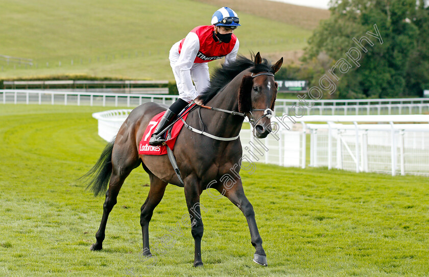 Positive-0002 
 POSITIVE (Hector Crouch)
Goodwood 29 Aug 2020 - Pic Steven Cargill / Racingfotos.com