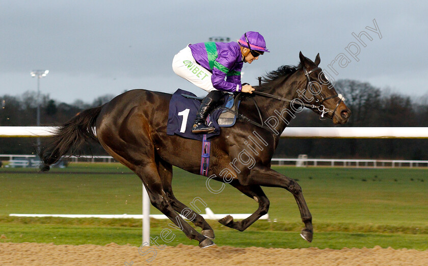 Heavenly-Holly-0006 
 HEAVENLY HOLLY (Josephine Gordon) wins The sunracing.co.uk Novice Stakes
Wolverhampton 28 Nov 2018 - Pic Steven Cargill / Racingfotos.com