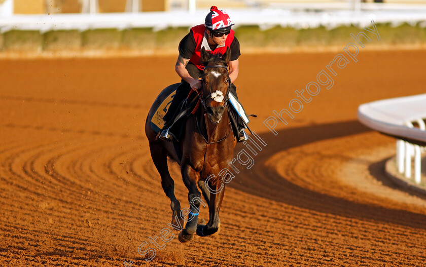 Astro-King-0001 
 ASTRO KING training for The Neom Turf Cup
King Abdulaziz Racecourse, Saudi Arabia 21 Feb 2024 - Pic Steven Cargill / Racingfotos.com