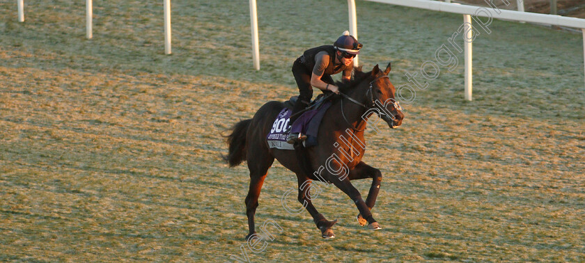 A Ali-0002 
 A'ALI training for The Breeders' Cup Juvenile Turf Sprint
Santa Anita USA 31 Oct 2019 - Pic Steven Cargill / Racingfotos.com