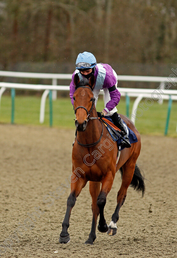 Hollywood-Lady-0001 
 HOLLYWOOD LADY (Rossa Ryan)
Lingfield 26 Mar 2021 - Pic Steven Cargill / Racingfotos.com