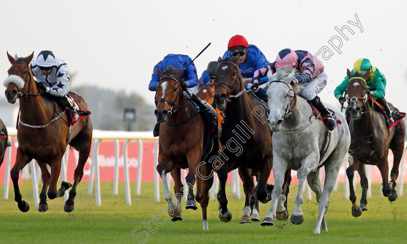 Lord-Glitters-0009 
 LORD GLITTERS (right, Jason Watson) beats BARNEY ROY (2nd left) MAGNY COURS (centre) and FEV ROVER (left) in The Bahrain International Trophy
Sakhir Racecourse, Bahrain 19 Nov 2021 - Pic Steven Cargill / Racingfotos.com