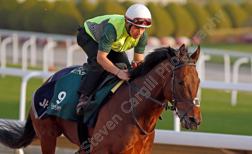 Mishriff-0007 
 MISHRIFF training for the Saudi Cup
King Abdulaziz Racetrack, Riyadh, Saudi Arabia 24 Feb 2022 - Pic Steven Cargill / Racingfotos.com