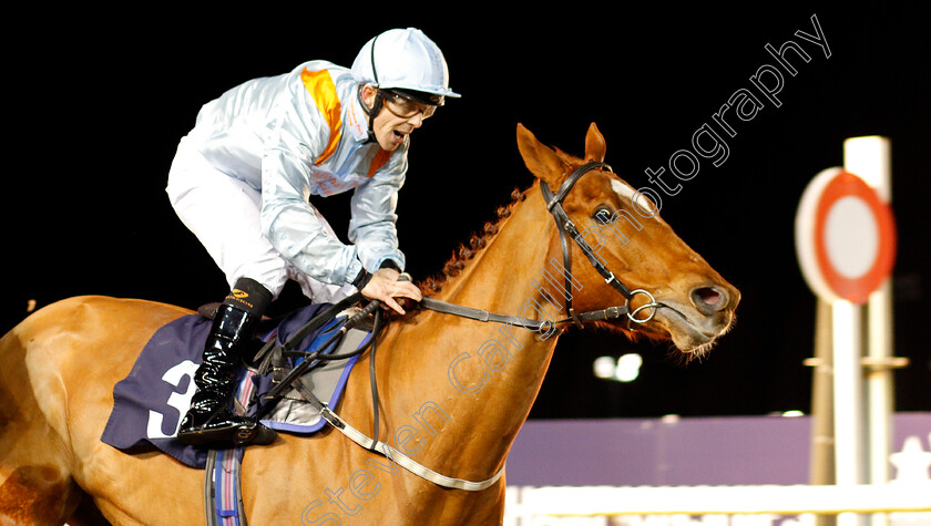 Watheer-0005 
 WATHEER (Ben Curtis) wins The Bombardier Golden Beer Classified Stakes
Wolverhampton 21 Feb 2020 - Pic Steven Cargill / Racingfotos.com