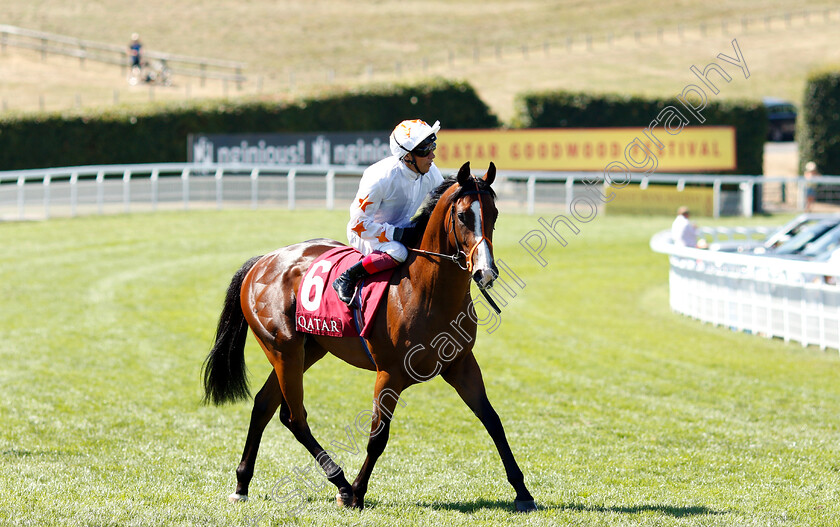 Neverland-Rock-0001 
 NEVERLAND ROCK (Frankie Dettori)
Goodwood 2 Aug 2018 - Pic Steven Cargill / Racingfotos.com