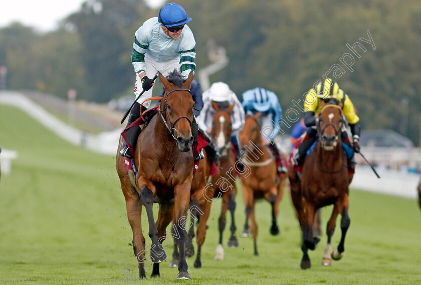 Quickthorn-0005 
 QUICKTHORN (Tom Marquand) wins The Al Shaqab Goodwood Cup
Goodwood 1 Aug 2023 - Pic Steven Cargill / Racingfotos.com