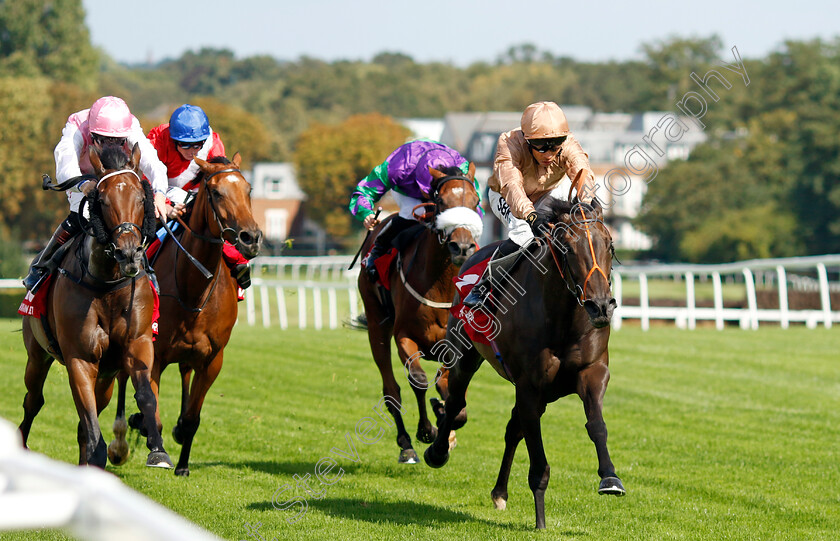 Heredia-0006 
 HEREDIA (Sean Levey) wins The Virgin Bet Atalanta Stakes
Sandown 2 Sep 2023 - Pic Steven Cargill / Racingfotos.com