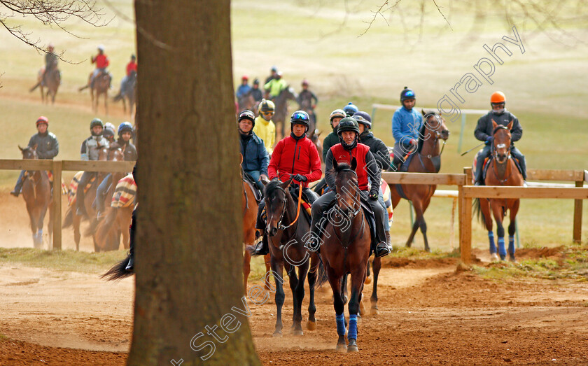 John-Gosden-0013 
 String of two year olds trained by John Gosden return from the gallops in Newmarket 23 Mar 2018 - Pic Steven Cargill / Racingfotos.com