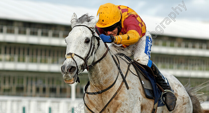 Ramses-De-Teillee-0006 
 RAMSES DE TEILLEE (Tom Scudamore) wins The Planteur At Chapel Stud Handicap Chase
Cheltenham 15 Nov 2020 - Pic Steven Cargill / Racingfotos.com