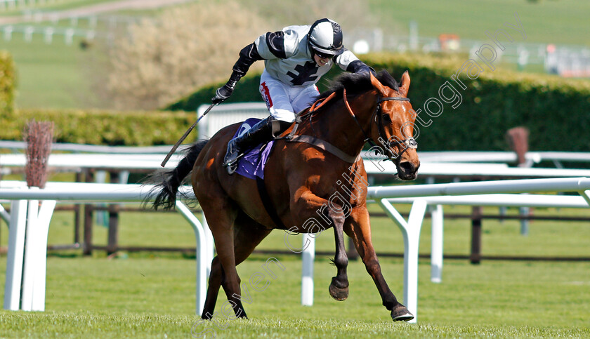 Art-Of-Payroll-0001 
 ART OF PAYROLL (Bryan Cooper) Cheltenham 18 Apr 2018 - Pic Steven Cargill / Racingfotos.com