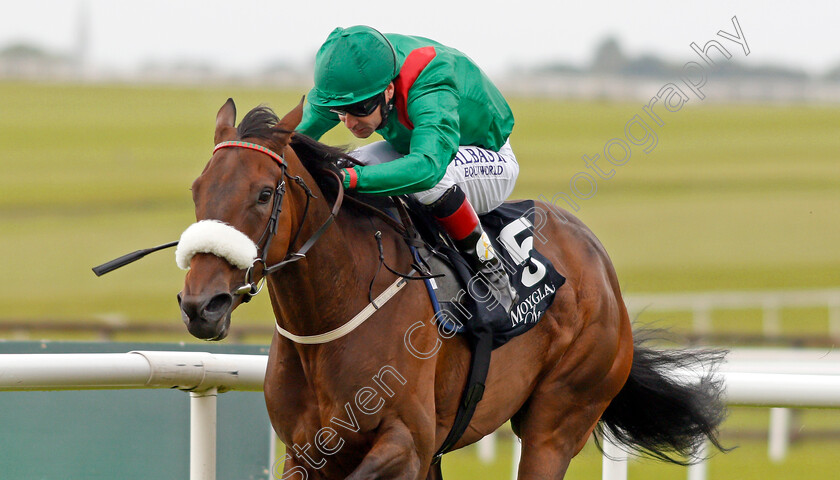 Shamreen-0005 
 SHAMREEN (Pat Smullen) wins The Moyglare Jewels Blandford Stakes Curragh 10 Sep 2017 - Pic Steven Cargill / Racingfotos.com