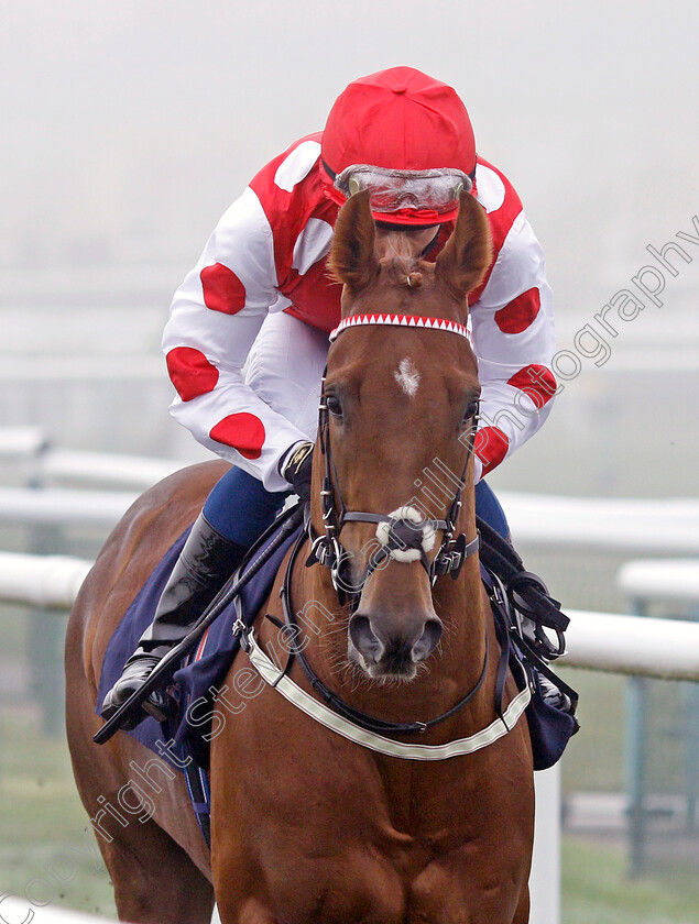 Sir-Benedict-0002 
 SIR BENEDICT (William Buick) winner of The Betfair Weighed In Podcast Nursery
Doncaster 7 Nov 2020 - Pic Steven Cargill / Racingfotos.com