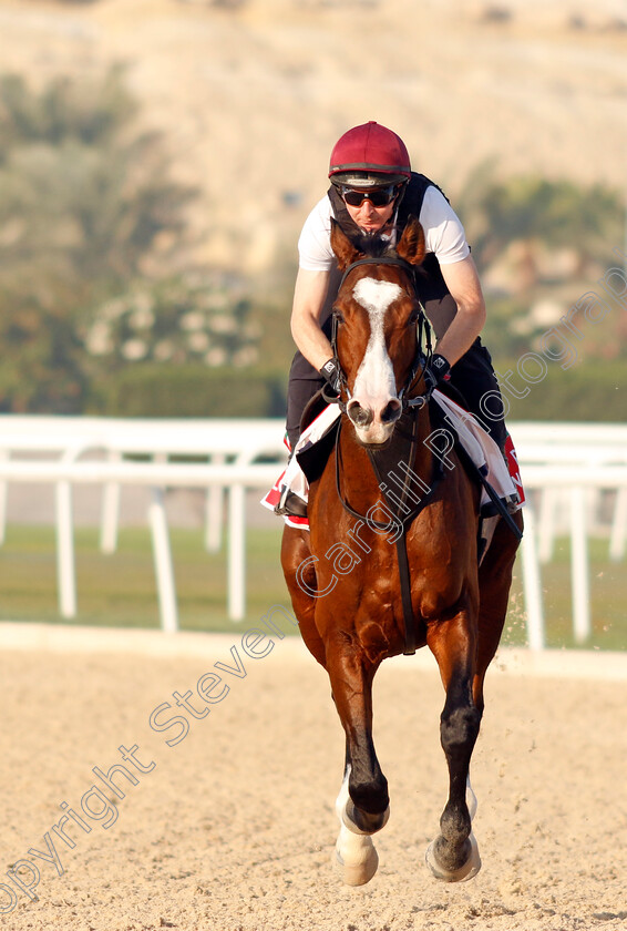 Point-Lonsdale-0010 
 POINT LONSDALE training for the Bahrain International Trophy
Kingdom of Bahrain 13 Nov 2024 - Pic Steven Cargill / Racingfotos.com