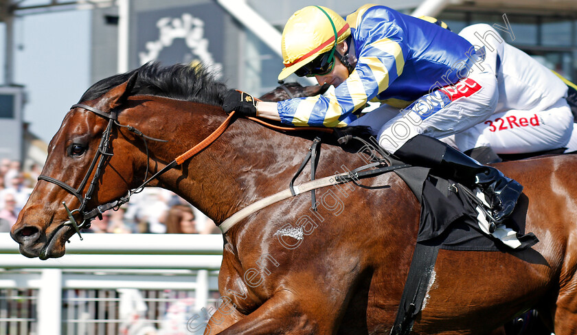 Gracious-John-0004 
 GRACIOUS JOHN (Fran Berry) wins The Dubai Duty Free Handicap Newbury 20 Apr 2018 - Pic Steven Cargill / Racingfotos.com