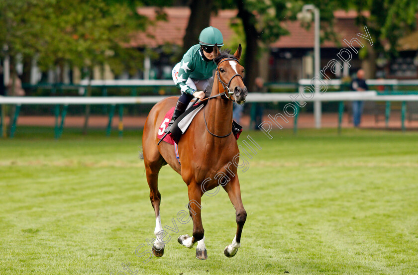 Nushafreen-0002 
 NUSHAFREEN (Hollie Doyle)
Haydock 28 May 2021 - Pic Steven Cargill / Racingfotos.com