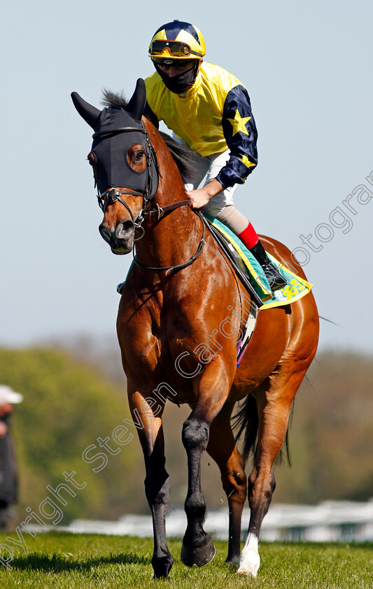 Desert-Encounter-0001 
 DESERT ENCOUNTER (Andrea Atzeni)
Sandown 23 Apr 2021 - Pic Steven Cargill / Racingfotos.com